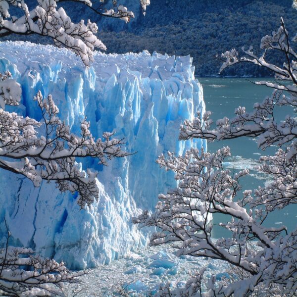 Glaciar Moreno en Bus - Imagen 3