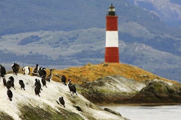 Canal Beagle Lobos - Imagen 3