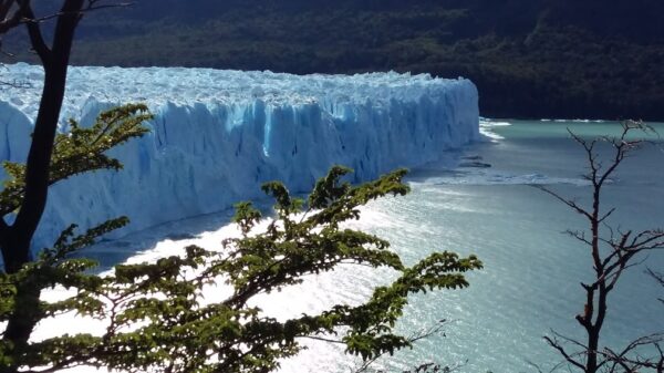 Glaciar Moreno en Bus - Imagen 2