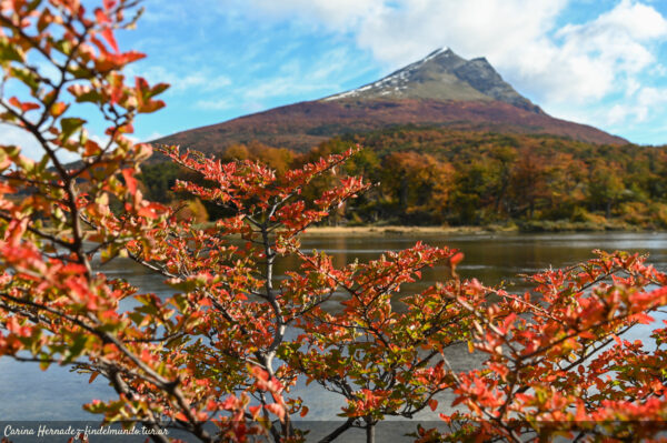 Parque Nacional "AVENTURA HD" - Imagen 5