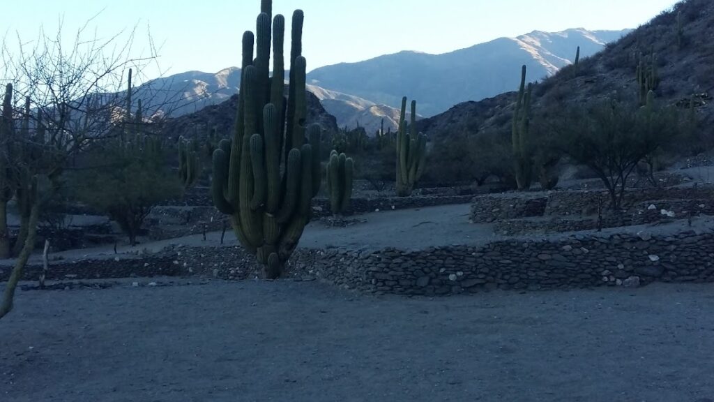 Tafí del Valle y Ruinas de Quilmes desde Tucumán