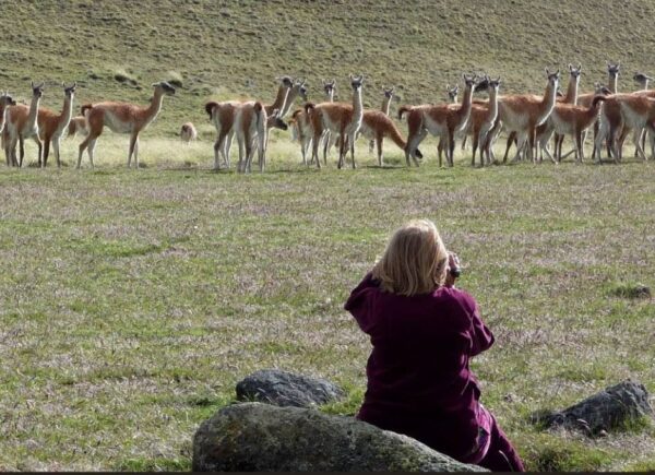 Safari Experience