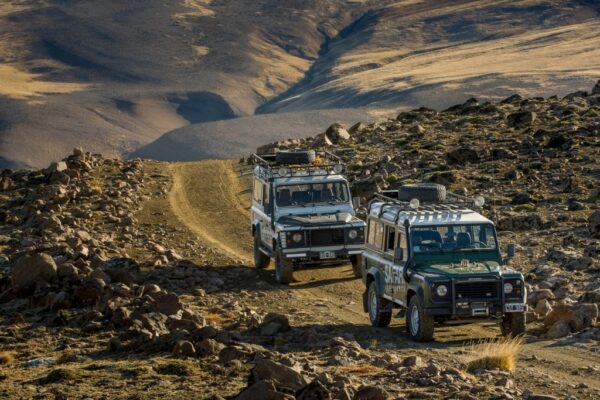 Safari Experience - Imagen 5