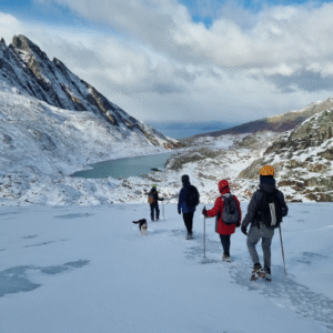 Trekking glaciar Vinciguerra