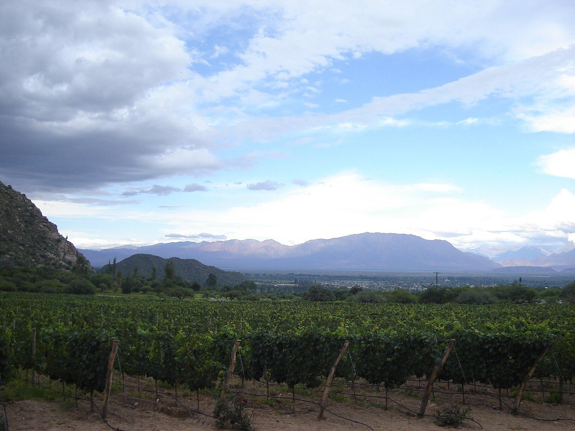 Viñedos en Cafayate, Salta - Valles Calchaquíes 2 días desde Salta