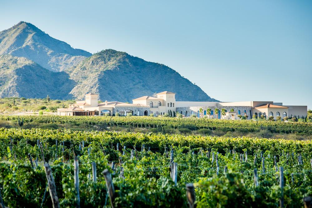 Ruta del Vino de altura - Imagen 4