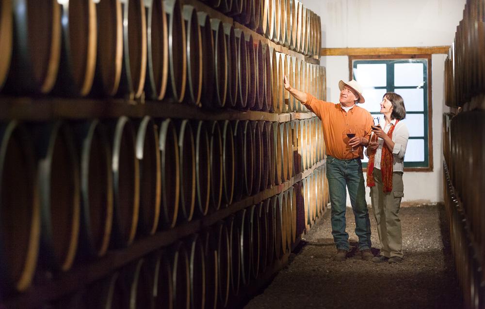 Ruta del Vino de altura - Imagen 5