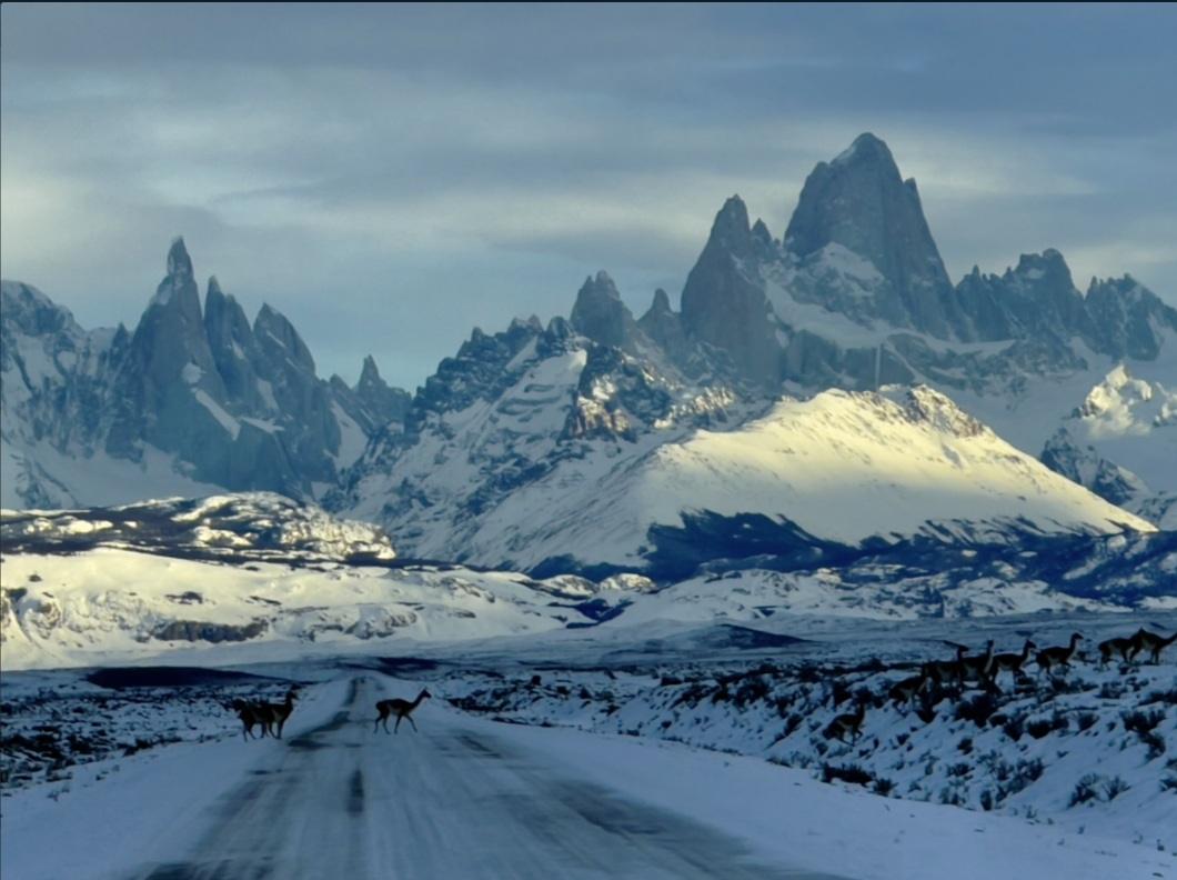 L.de los tres desde Chalten - Imagen 13