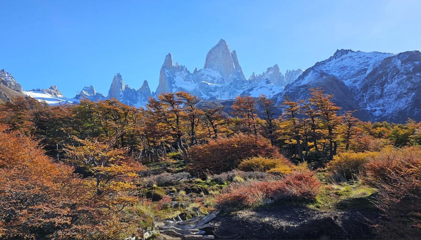 L.de los tres desde Chalten - Imagen 10
