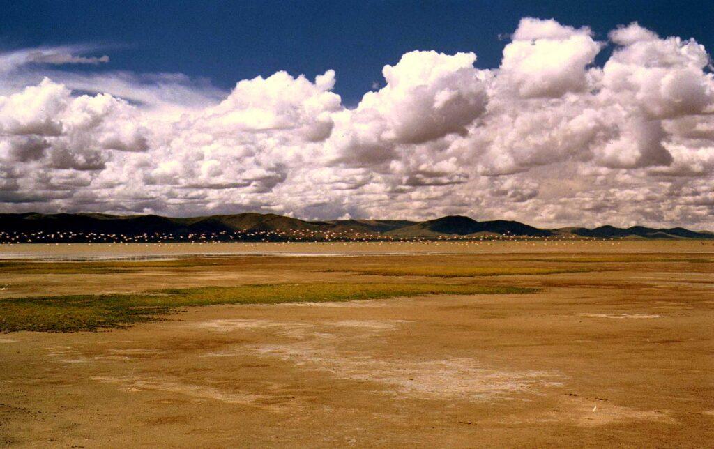 Monumento Natural Laguna de los Pozuelos, Puna jujeña