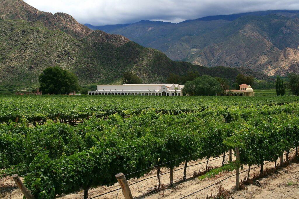 Tafí del Valle, Quilmes y Cafayate desde Tucumán
